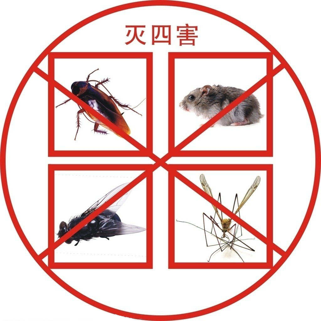 中山白蚁防治中心:了解四害防治与PCO含